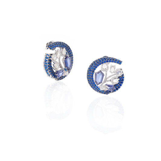 Earings	101