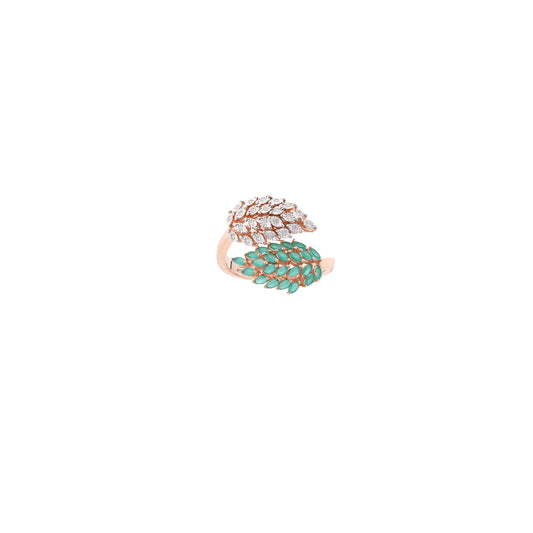 Ring 134